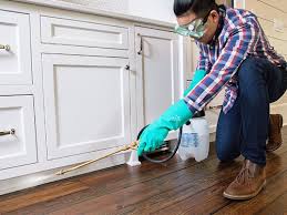 Best Residential Pest Control  in Merryville, LA